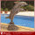 Garden Decoration Bronze Dolphins Water Fountain